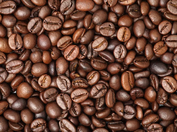 Rostade kaffebönor — Stockfoto