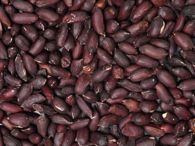 Kavrulmuş fıstık yığını