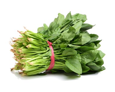 Taze kuzukulağı tutam