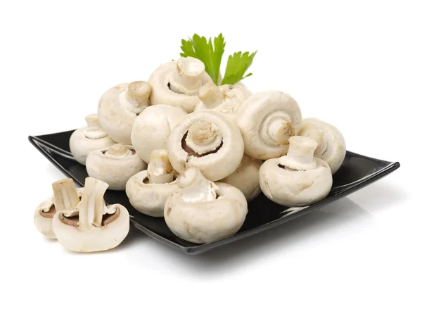 Rauwe champignons met groene kruid — Stockfoto