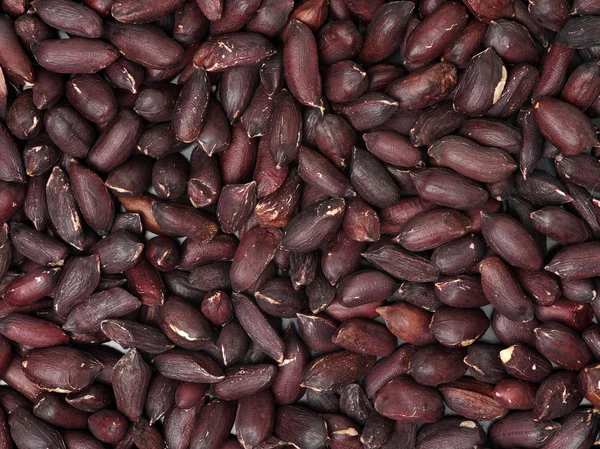 Pile of roasted peanuts — Stock Photo, Image