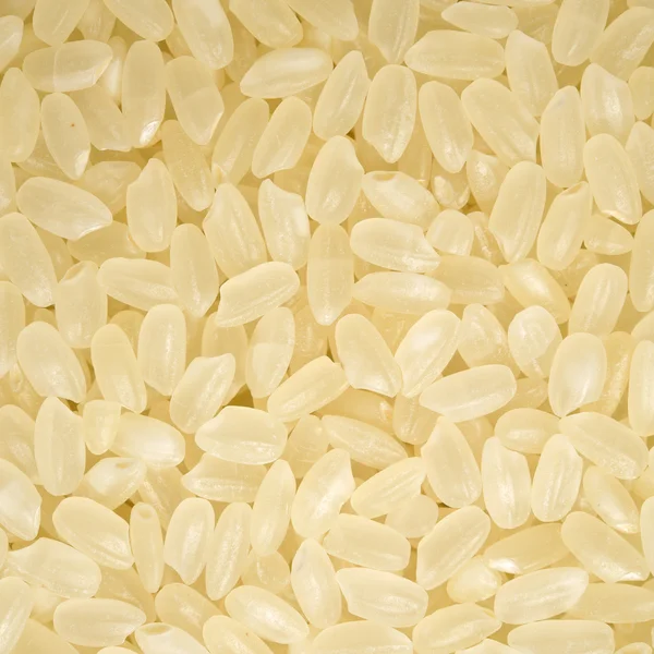 白米饭的特写视图 — 图库照片