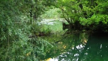 Nehirde, Hırvatistan milli park krka