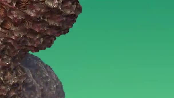 Animación fractal 3D . — Vídeo de stock