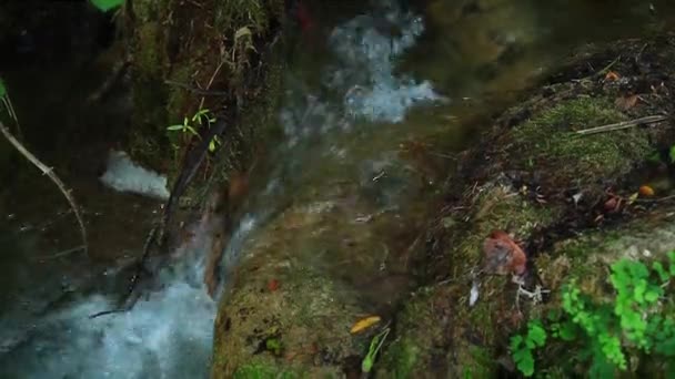 Rio no Parque Nacional de Krka, Croácia — Vídeo de Stock