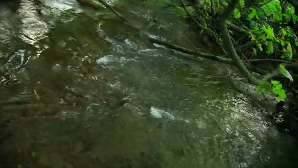 Fluss im Krka Nationalpark, Kroatien — Stockvideo