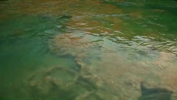 Річка в Національний парк Крка, Хорватія — стокове відео