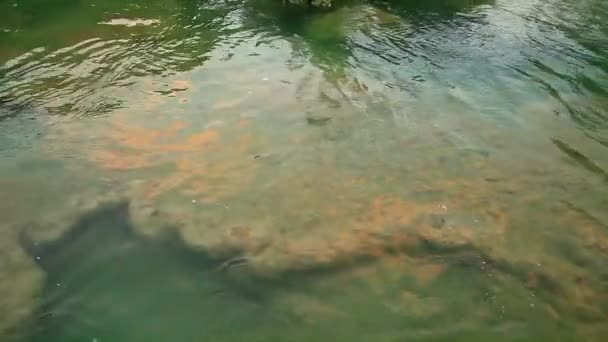 Река в Национальном парке Крка — стоковое видео