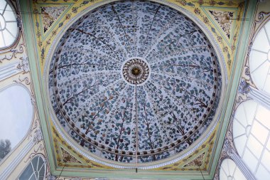 Güzel tavan Camii istanbul'da