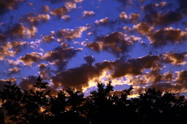 Ciel bleu, nuages — Photo