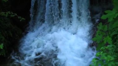 milli park krka şelale Hırvat doğa nehir biridir