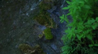 milli park krka şelale Hırvat doğa nehir biridir