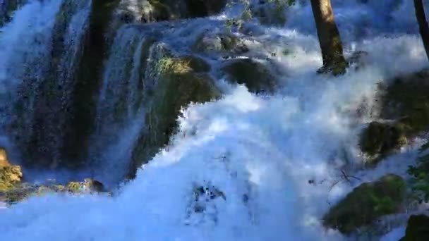 Milli park krka şelale Hırvat doğa nehir biridir — Stok video