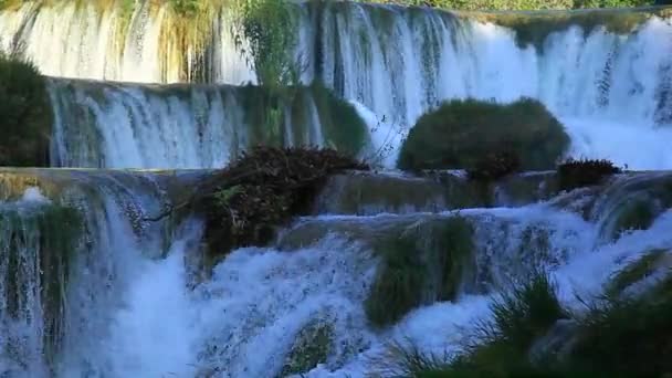 Cascata nel Parco Nazionale di Krka è uno dei fiumi naturali croati — Video Stock