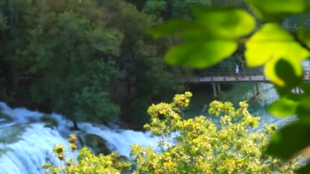 Cascata nel Parco Nazionale di Krka è uno dei fiumi naturali croati — Video Stock