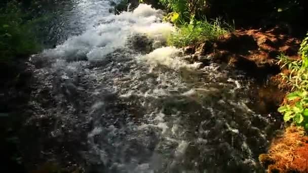 Waterfall in Krka National Park is one of the Croatian nature River — Stock Video