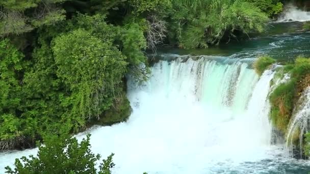 Waterfall in Krka National Park is one of the Croatian nature River — Stock Video