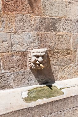 Solsona, Lleida, Katalonya, İspanya 'daki Kilise Fontain' inin Gotik Taş Başkanı.