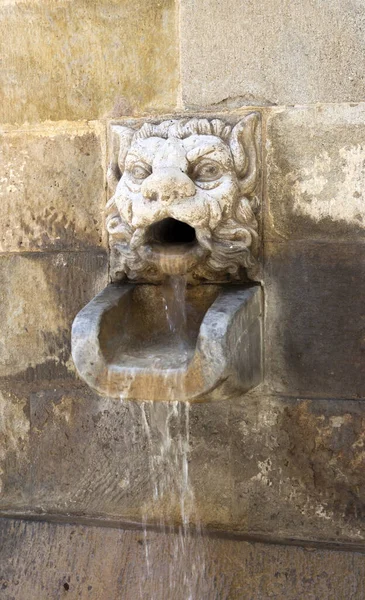 Solsona, Lleida, Katalonya, İspanya 'daki Kilise Fontain' inin Gotik Taş Başkanı.