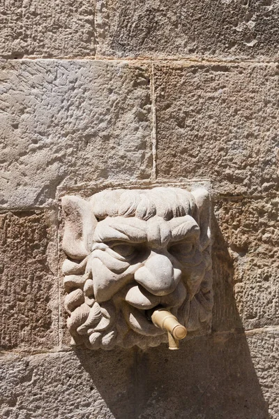 Solsona, Lleida, Katalonya, İspanya 'daki Kilise Fontain' inin Gotik Taş Başkanı.