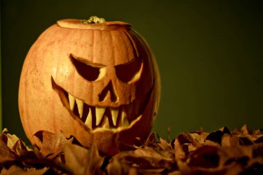 korkutucu jack o fener halloween balkabağı kuru yapraklar üzerinde