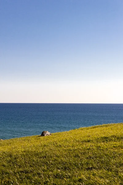 Çim ve deniz. — Stok fotoğraf