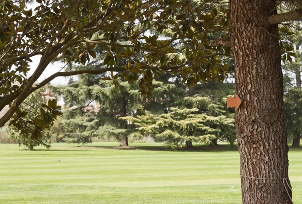 Sinal de seta em um campo de golfe — Fotografia de Stock