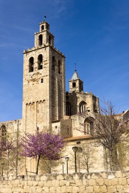 sant cugat Romanesk Manastırı
