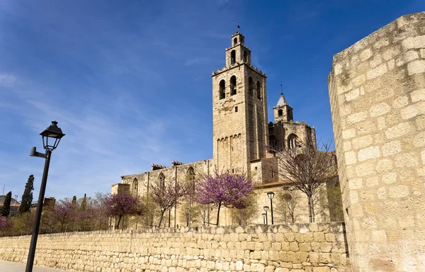 Románský klášter sant cugat — Stock fotografie