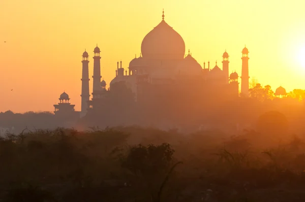 Taj mahal — Stok fotoğraf