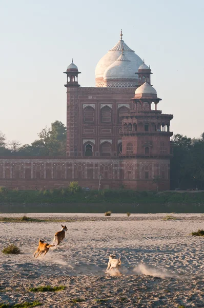 Taj Mahal — Fotografia de Stock