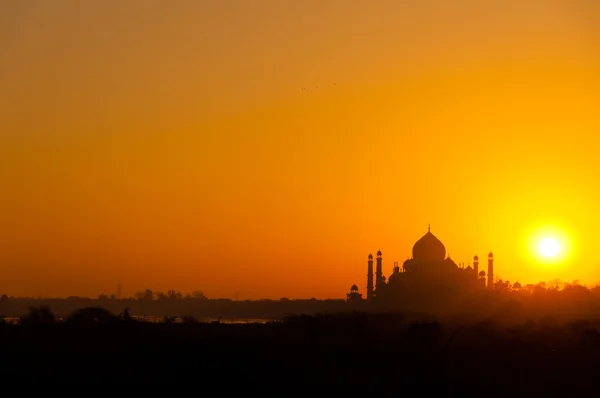 Taj mahal — Stok fotoğraf