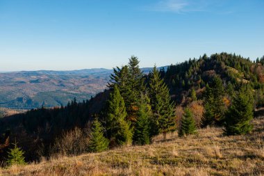 Ukrayna 'nın Skole kasabası yakınlarındaki Karpatya Dağları Beskid bölgesinde sonbahar mevsimi