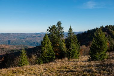 Ukrayna 'nın Skole kasabası yakınlarındaki Karpatya Dağları Beskid bölgesinde sonbahar mevsimi
