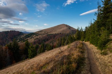 Ukrayna 'nın Skole kasabası yakınlarındaki Karpatya Dağları Beskid bölgesinde sonbahar mevsimi