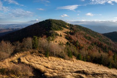 Ukrayna 'nın Skole kasabası yakınlarındaki Karpatya Dağları Beskid bölgesinde sonbahar mevsimi