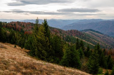Ukrayna 'nın Skole kasabası yakınlarındaki Karpatya Dağları Beskid bölgesinde sonbahar mevsimi