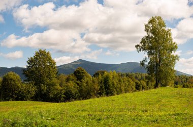 Karpat Dağları Beskid bölgesinde sonbahar, Ukrayna