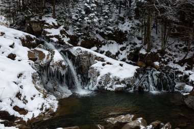 Karpat Dağları Beskid bölgesinde donmuş şelale, Ukrayna