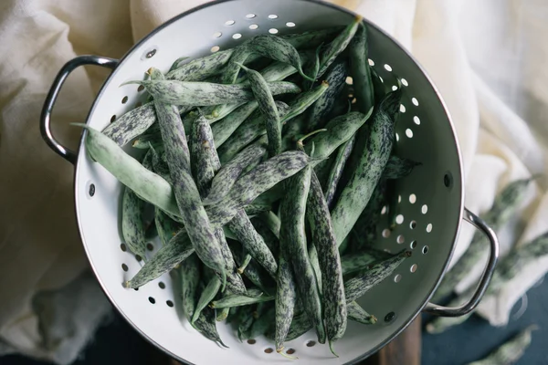 Fagiolini freschi — Foto Stock