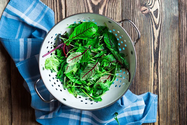 Taze yeşil salata karışımı — Stok fotoğraf