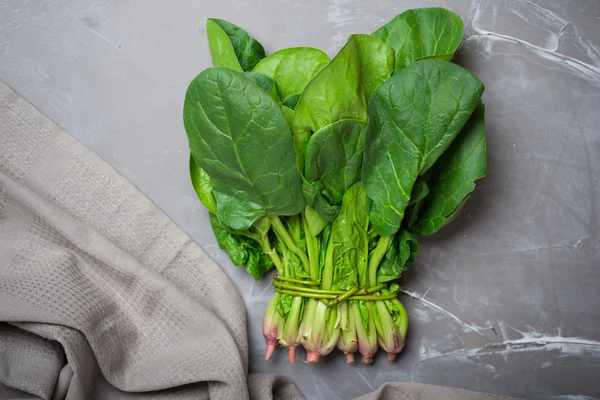 Fresh green spinach — Stock Photo, Image