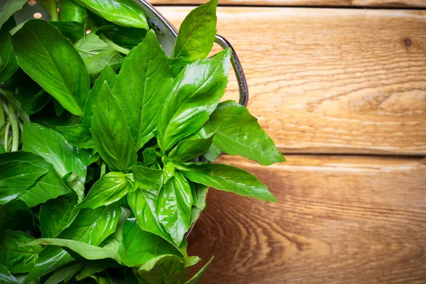 Fresh green basil — Stock Photo, Image