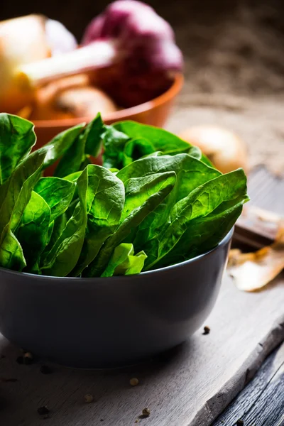 Green spinach leaves — Stock Photo, Image