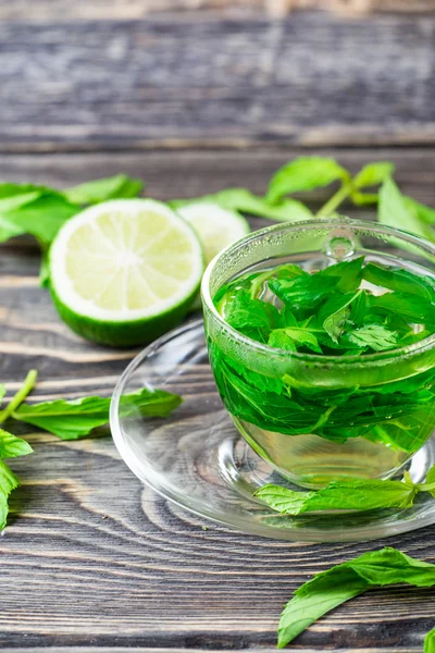 Té con menta fresca —  Fotos de Stock