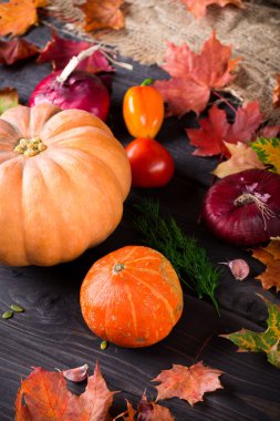 Olgun portakal kabağı