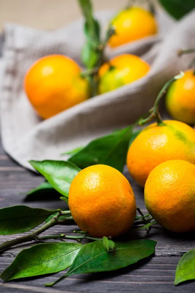 Tangerinas frescas maduras — Fotografia de Stock