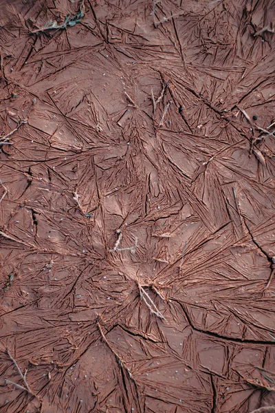 Clay texture. Dried clay. Red clay.
