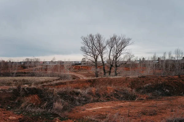 Kasvetli manzara. Zorlu bir arazi. Çerçevenin ortasındaki ağaç. Olaysız rahatlama.