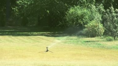 bermuda çim fs700 odyssey 7q biraz su koyarak bir çim yağmurlama